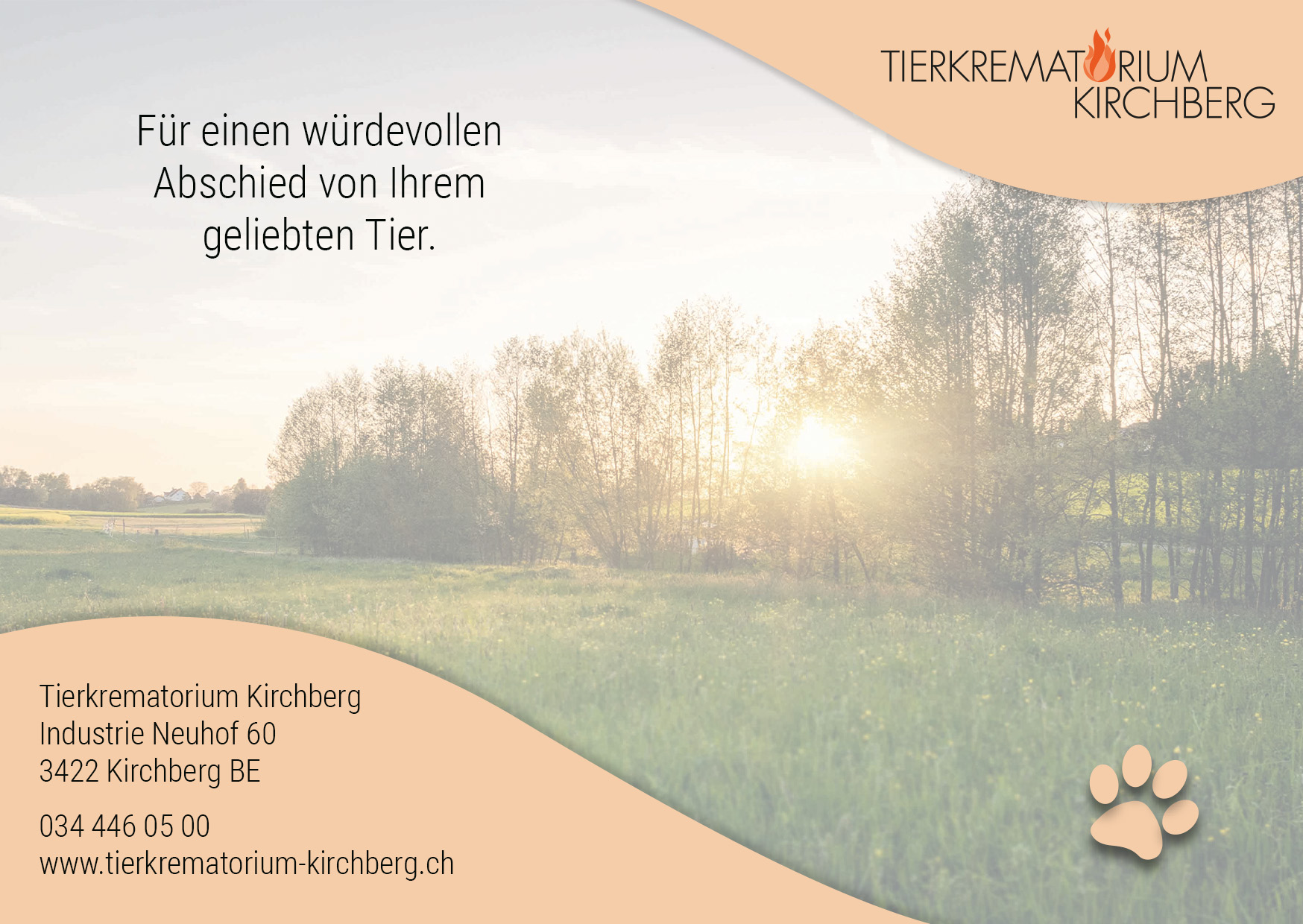 Dalmatiner 2022 tierkrematorien