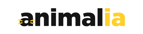 animalia logo generic