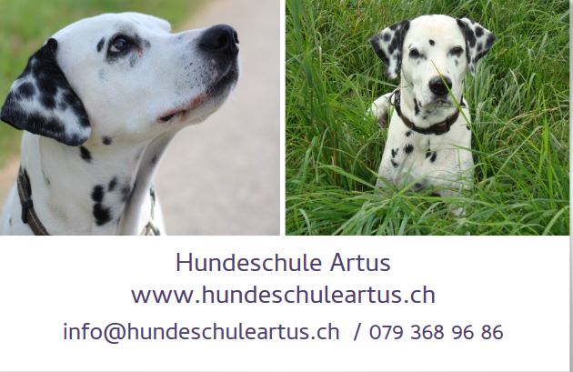 logo neu hundeschule artus karin gilgen