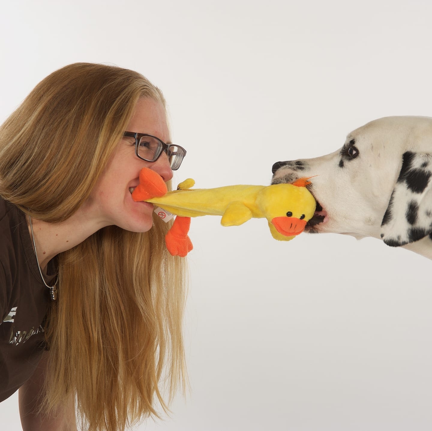 leisibach sandra vorstand