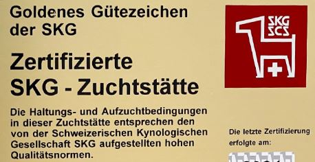 Logo goldenes guetezeichen SKG