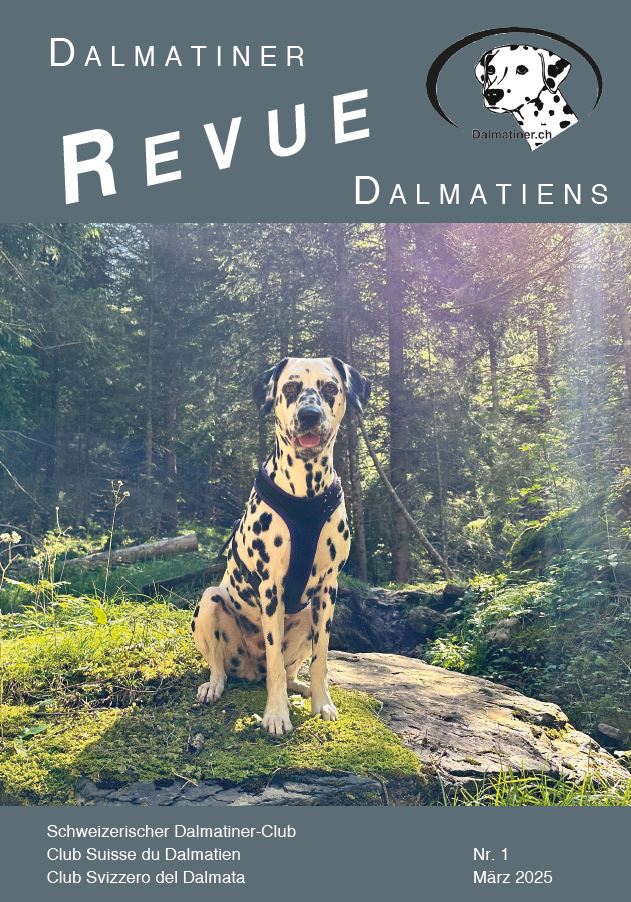 revue 2025 01 titel