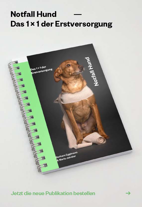 Notfall Hund 1x1 Erstversorgung Seite 1